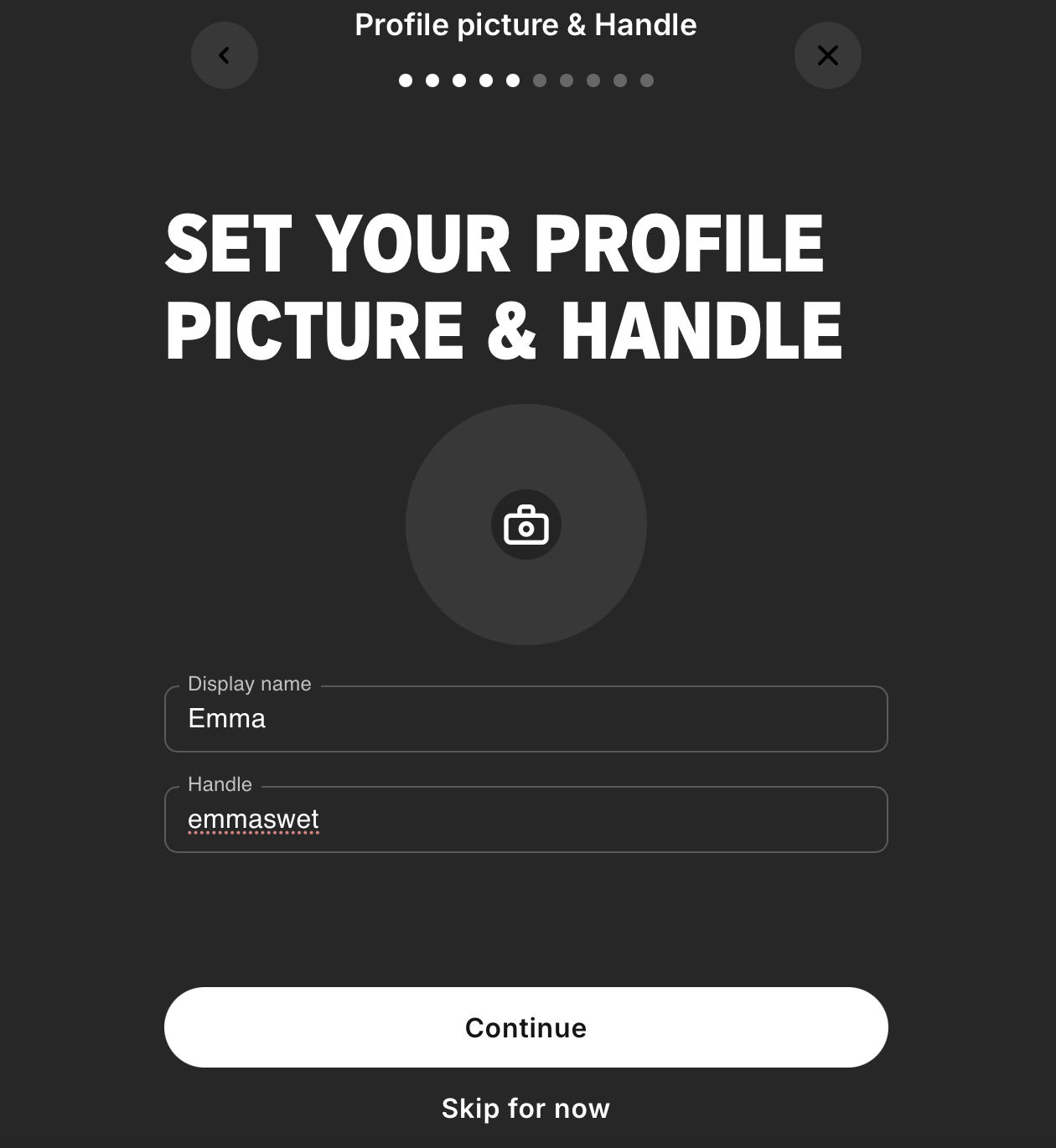 Model name input