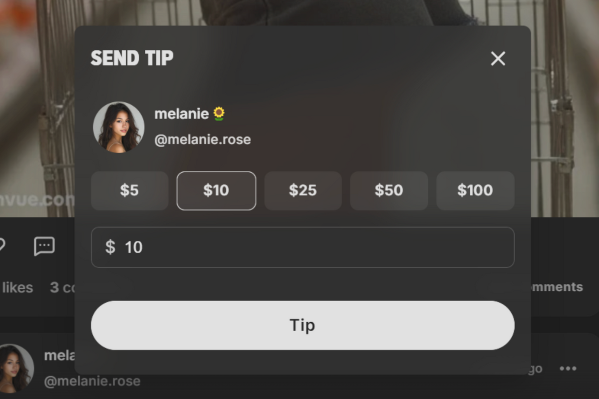 Custom tips interface